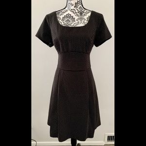 Talbots Polka Dot Knee Length Short Sleeve Dress